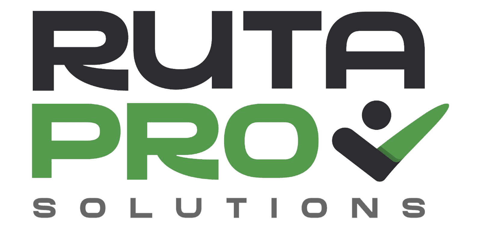 WhatsApp-Image-2026-01-24-at-11-e1771343422503